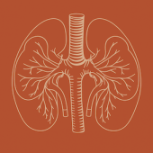 Gall Bladder and Kidney Care